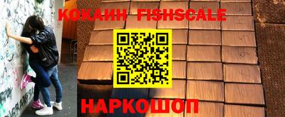 гашик Кандалакша