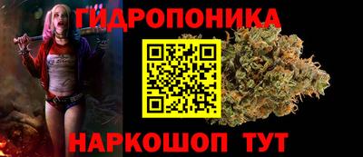 дурь Камышлов
