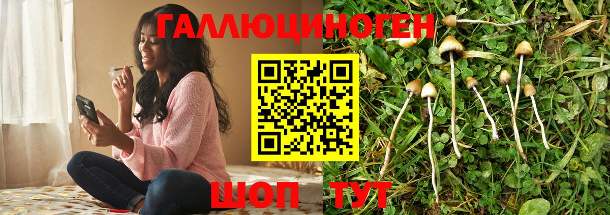 Кузнецк  Псилоцибиновые грибы GOLDEN TEACHER  Псилоцибиновые грибы Magic Shrooms  Вход с VPN 