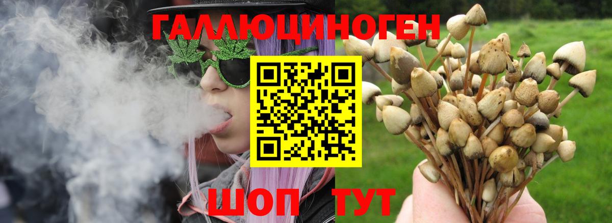 Галлюциногенные грибы Cubensis Кузнецк
